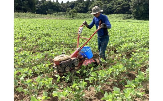 農家が作る自然栽培・無添加ジェラート8個 鹿嶋市 茨城 かしま 送料無料 フルーティー ナチュラル 無添加 オーガニック 豆乳 アイス 麹 甘酒 冷夏 手土産 農家が作る自然栽培・無添加ジェラート8個 鹿嶋市 茨城 かしま 送料無料 フルーティー ナチュラル 無添加 オーガニック 豆乳 アイス 麹 甘酒 冷夏 手土産 ギフト 贈答 ひんやり スイーツ デザート おいしい（KW-17）