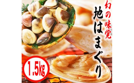 【茨城県鹿嶋市】鹿島灘特産★ブランド地はまぐり(中盛り1.5kg) BBQ  貝類 はまぐり 鹿嶋灘 鹿嶋市 茨城県 送料無料(KBL-4)