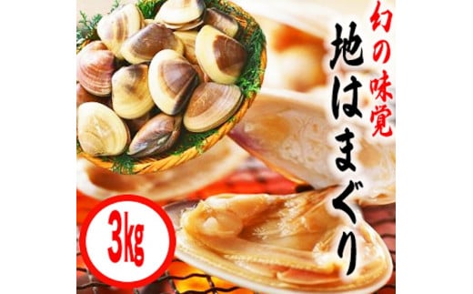 【茨城県鹿嶋市】鹿島灘特産★ブランド地はまぐり(超特盛3kg)(KBL-6)