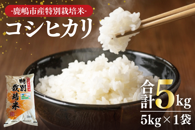 【茨城県鹿嶋市】【令和7年産】鹿嶋市の子どもたちが食べている特別栽培米コシヒカリ(5kg×1袋)【お米 米 こしひかり 特別栽培 有機肥料 有機栽培 鹿嶋市 茨城県 白米 新米 おにぎり ごはん 15000円以内】(KBS-6)