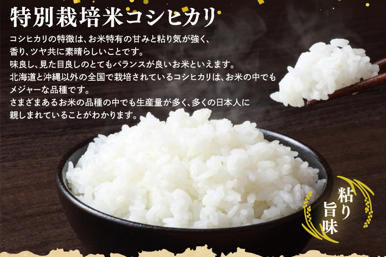 【令和7年産】鹿嶋市の子どもたちが食べている特別栽培米コシヒカリ10kg（5kg×2袋）【お米 米 こしひかり 特別栽培 有機肥料 有機栽培 鹿嶋市 茨城県 白米 新米 おにぎり ごはん 30000円以内 3万円以内 】(KBS-7）