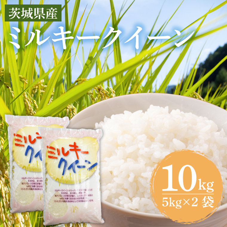 【茨城県鹿嶋市】茨城県産ミルキークイーン 10kg (5kg×2袋) 【米 お米 白米 精米 おにぎり 茨城県産 鹿嶋市 国産 送料無料】 (KY-2)