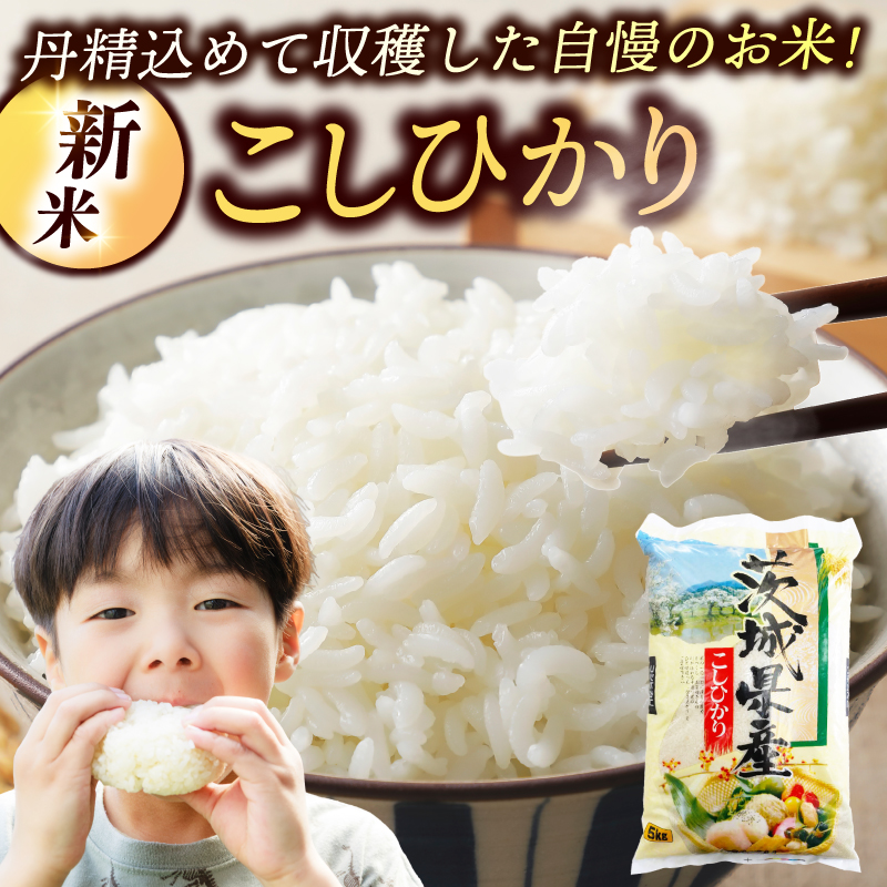 【3ヶ月定期便】コシヒカリ 10kg (5kg × 2袋) 総計 30kg【令和7年産】米 精米 白米 こしひかり 定期便 茨城県 鹿嶋市 国産 送料無料 お米 ごはん おにぎり 冷めても 美味しい 粘り うまみ 厳選 出荷直前精米 ツヤ かおり うまい（KY-3）