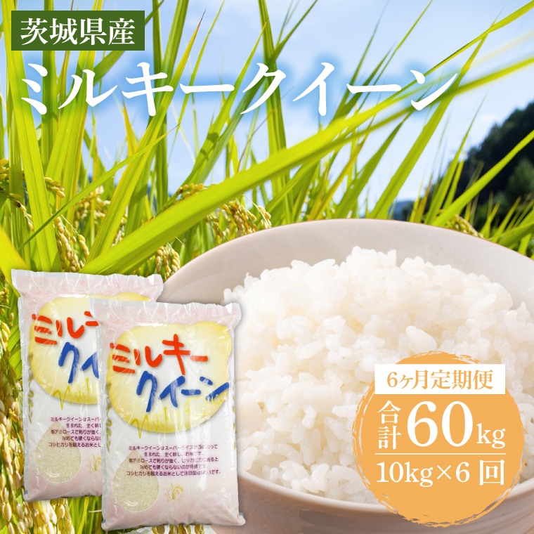 y錧szy6ցz錧Y~L[NC[ 10kg (5kg×2) y    ɂ 錧Y s Y z (KY-9)