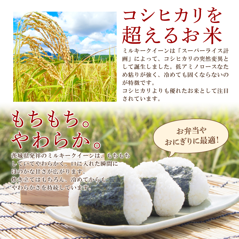 【6ヶ月定期便】茨城県産ミルキークイーン 10kg (5kg×2袋) 【米 お米 白米 精米 おにぎり 茨城県産 鹿嶋市 国産 送料無料】 (KY-9)