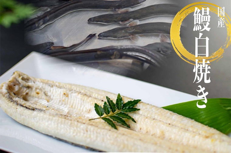 こだわりの国産厳選うなぎ　白焼き（2尾）【国産 厳選 鰻 ウナギ 鰻白焼き 蒲焼 タレ 山椒 土用 丑の日 15000円以下 鹿嶋市 茨城県】（KAL-4）
