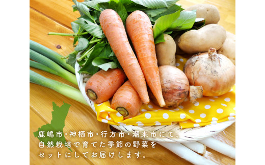 【共通返礼品】自然栽培野菜10～12品目(KBE-111)