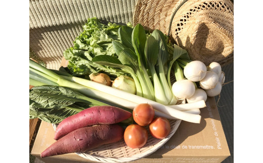 【共通返礼品】自然栽培野菜10～12品目(KBE-111)