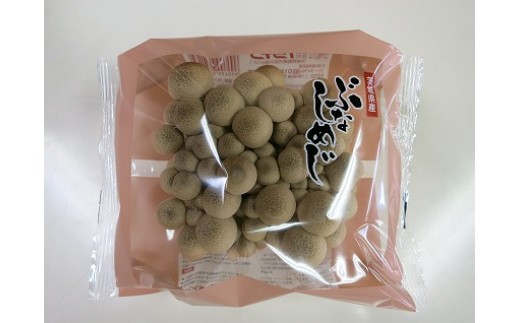 歯ごたえ抜群！ブナシメジ　KL-2