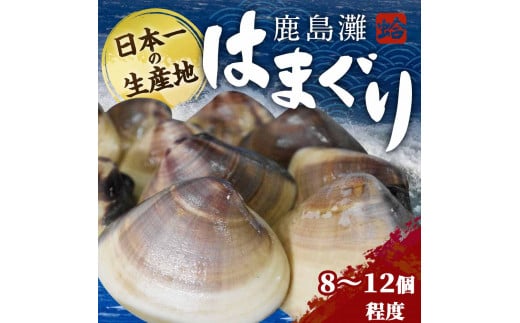 鹿島灘はまぐり【ハマグリ 蛤 海鮮 貝 魚貝 鹿嶋市 茨城県 20000円以内 2万円以内）（KM-2）