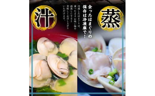 鹿島灘はまぐり【ハマグリ 蛤 海鮮 貝 魚貝 鹿嶋市 茨城県 20000円以内 2万円以内）（KM-2）