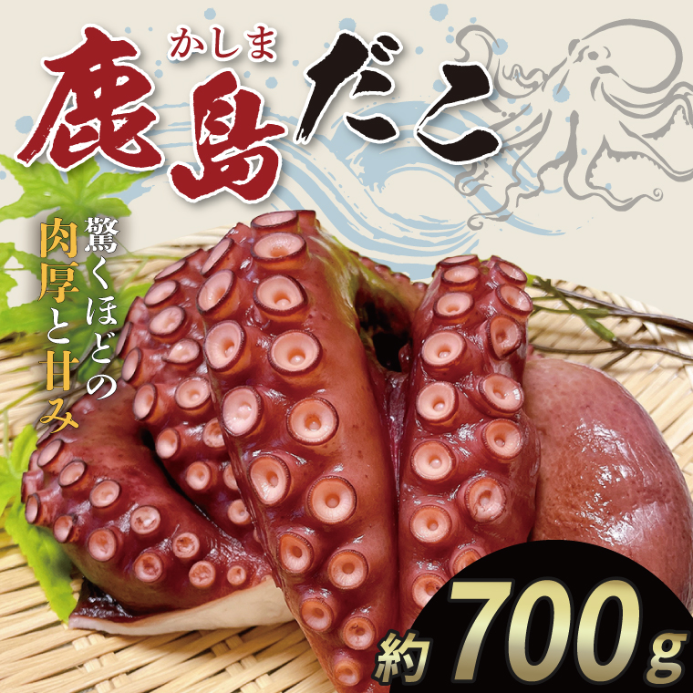 【茨城県鹿嶋市】鹿島だこ【たこ タコ 蛸 海鮮 新鮮 魚貝 地たこ 刺身 鹿島灘 鹿嶋市 茨城県 20000円以内 2万円以内】(KM-9)