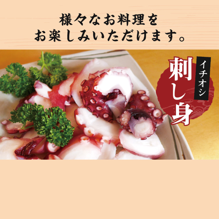 鹿島だこ【たこ タコ 蛸 海鮮 新鮮 魚貝 地たこ 刺身 鹿島灘 鹿嶋市 茨城県 20000円以内 2万円以内】（KM-9）