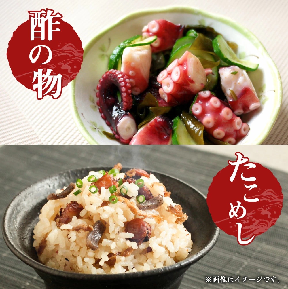 鹿島だこ【たこ タコ 蛸 海鮮 新鮮 魚貝 地たこ 刺身 鹿島灘 鹿嶋市 茨城県 20000円以内 2万円以内】（KM-9）