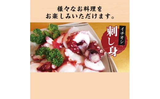 鹿島だこ 鹿島灘はまぐり 満足セット 3～5人前相当【たこ タコ 蛸 蛤 ハマグリ 海鮮 新鮮 魚貝 地たこ 刺身 鹿島灘 鹿嶋市 茨城県】（KM-10）
