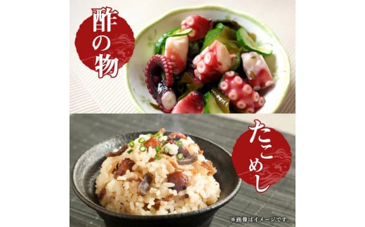 鹿島だこ 鹿島灘はまぐり 満足セット 3～5人前相当【たこ タコ 蛸 蛤 ハマグリ 海鮮 新鮮 魚貝 地たこ 刺身 鹿島灘 鹿嶋市 茨城県】（KM-10）