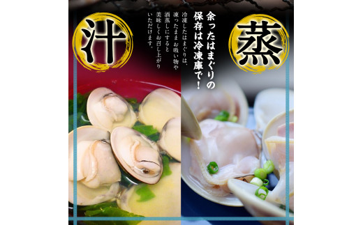 鹿島だこ 鹿島灘はまぐりセット 大容量セット 6～8人前相当【たこ タコ 蛸 蛤 ハマグリ 海鮮 新鮮 魚貝 地たこ 刺身 鹿島灘 鹿嶋市 茨城県】（KM-11）