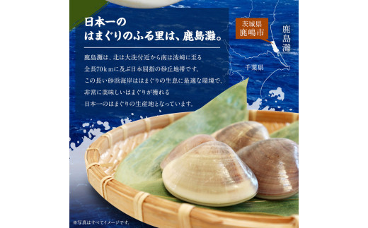 鹿島だこ 鹿島灘はまぐりセット 大容量セット 6～8人前相当【たこ タコ 蛸 蛤 ハマグリ 海鮮 新鮮 魚貝 地たこ 刺身 鹿島灘 鹿嶋市 茨城県】（KM-11）