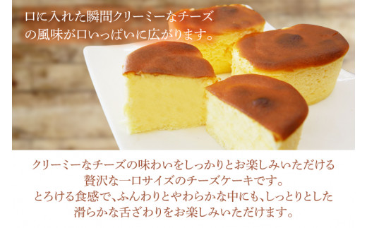 半熟チーズケーキ（20個）【鹿嶋市 ケーキ チーズ ひとくち サイズ デザート スイーツ 贅沢 おいしい クリーミー】（KD-13）