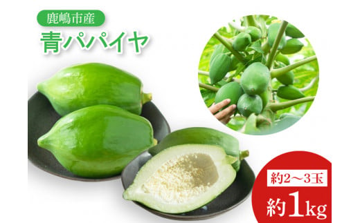 y錧szsB̐ppC_IppC 1kg y ₳  ʕ s 錧ziKBF-2j