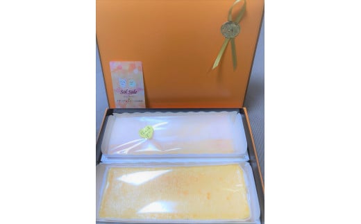 【茨城県鹿嶋市】Sol soleのチーズケーキ2種セット 無添加  スイーツ デザート 鹿嶋市 チーズケーキ 送料無料(KBM-4)