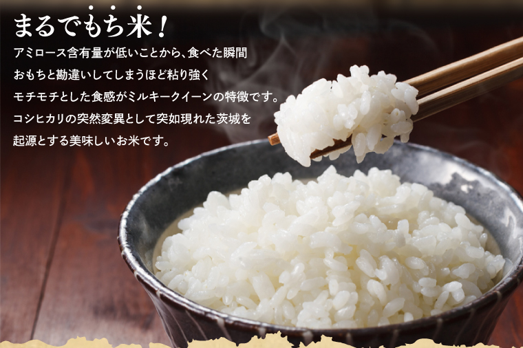 【令和7年産】鹿嶋市産ミルキークイーン(5kg×1袋)【お米 米 鹿嶋市 茨城県 白米 新米 おにぎり ごはん 15000円以内 】(KBS-8）