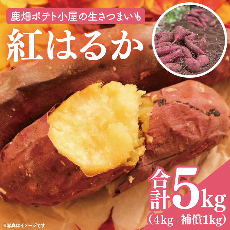 【先行予約】鹿畑ポテト小屋の生さつまいも 紅はるか 計 約5kg（４kg+約25％補償分） 【鹿嶋市 減農薬 熟成 貯蔵 サツマイモ 生芋 べにはるか 送料無料 5キロ 10000円以内 1万円以内】 (KBR-10)