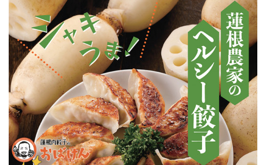 【茨城県鹿嶋市】【ふるさと納税限定品】蓮根肉餃子のおばけん 70個入り 【冷凍 調理済み おかず ギョウザ ぎょうざ 大容量 おいしい れんこん入り レンコン 時短 ごはん】(KBU-2)