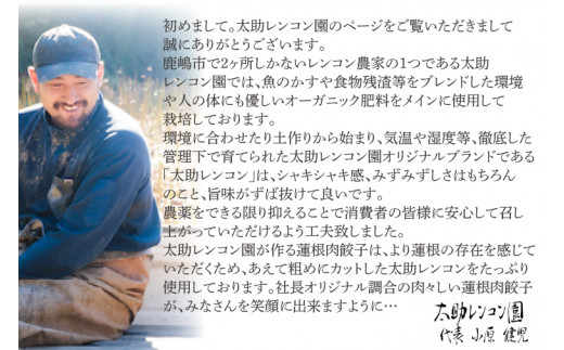 【ふるさと納税限定品】蓮根肉餃子のおばけん 70個入り 【冷凍 調理済み おかず ギョウザ ぎょうざ 大容量 おいしい れんこん入り レンコン 時短 ごはん】（KBU-2）