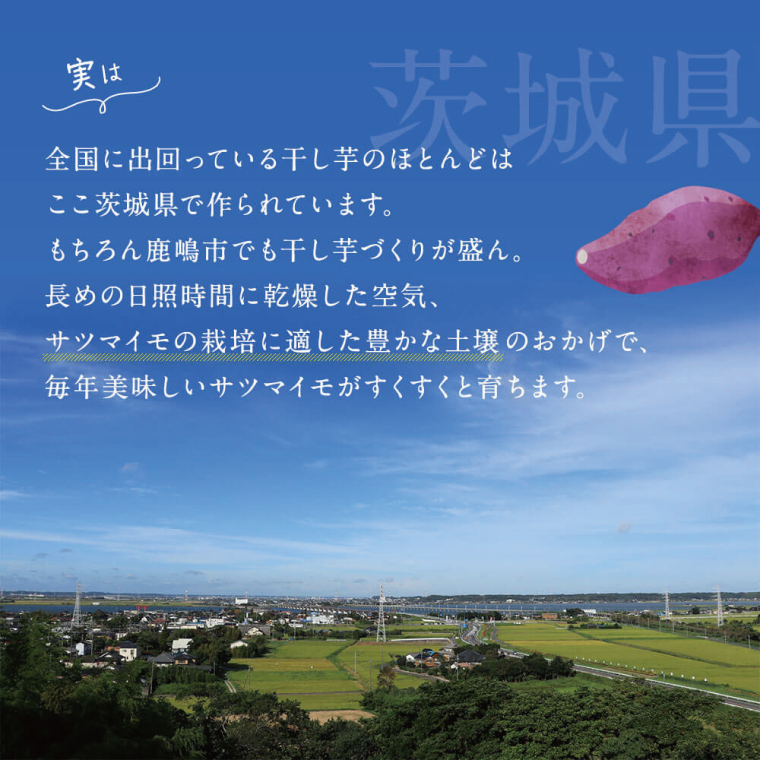 ★先行予約★ 人気商品 干芋セット(小) 4種5袋セット 計840g【干し芋 食べ比べ 紅はるか 玉豊 シルクスイート 平干し 丸干し 国産 鹿嶋市 茨城県】（KE-11）