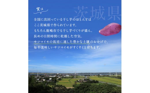 ★先行予約★ 人気商品 干芋セット(大) 5種15袋セット 合計2670g 【干し芋 食べ比べ 大容量 紅はるか 玉豊 シルクスイート 平干し 丸干し 国産 鹿嶋市 茨城県】（KE-16）