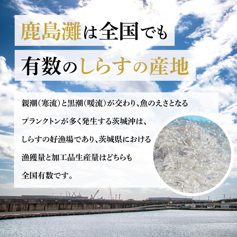 鹿島灘 釜揚げしらす「常陸乃国しらす」(3箱) 330g×3箱 合計990g【新鮮 新ブランド 最高級品 塩分控えめ おかず カルシウム ビタミンD 冷凍 茨城県 鹿嶋市】（KB-4）