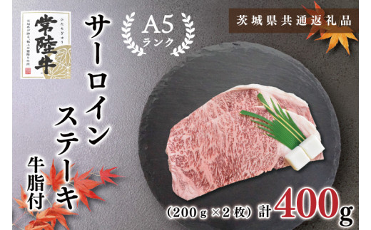 【茨城県鹿嶋市】【茨城県共通返礼品】【常陸牛A5ランク】サーロインステーキ 400g(200g×2枚)(KCK-1)