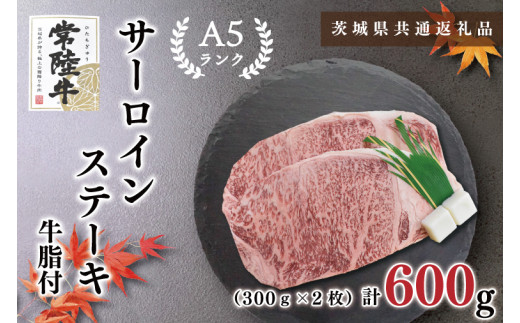 y錧szy錧ʕԗizy헤A5NzT[CXe[L@600i300×QjiKCK-2j