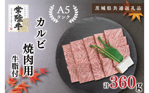 【茨城県鹿嶋市】【茨城県共通返礼品】【常陸牛A5ランク】カルビ焼肉用360g(KCK-5)