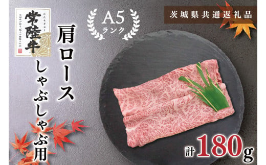 y錧szy錧ʕԗizy헤A5Nz[XԂԗp180giKCK-10j