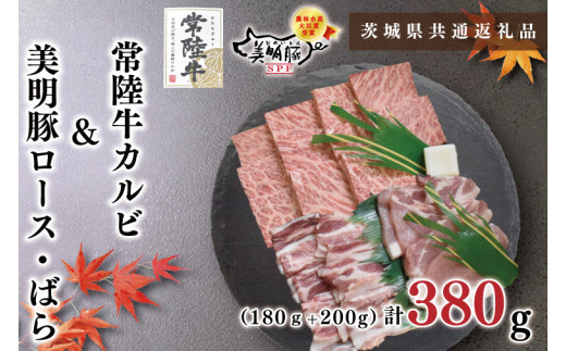 y錧szy錧ʕԗizy헤A5NE؏ēZbgz헤Jr180{200i[X100E΂100jiKCK-22j