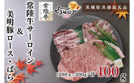 【茨城県共通返礼品・茨城県産】【常陸牛A5ランク・美明豚ステーキ焼肉セット】常陸牛サーロイン200ｇ＋美明豚200ｇ（ロース100ｇ・ばら100ｇ）（KCK-34）