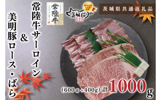 【茨城県鹿嶋市】【茨城県共通返礼品】【常陸牛A5ランク・美明豚ステーキ焼肉セット】常陸牛サーロイン600g(300g×2枚)+美明豚400g(ロース200g・ばら200g)(KCK-35)