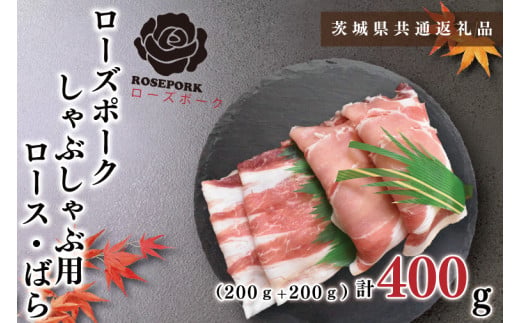 y錧szy錧ʕԗizy[Y|[NzԂԗp400gi[X200gE΂200gjiKCK-40j
