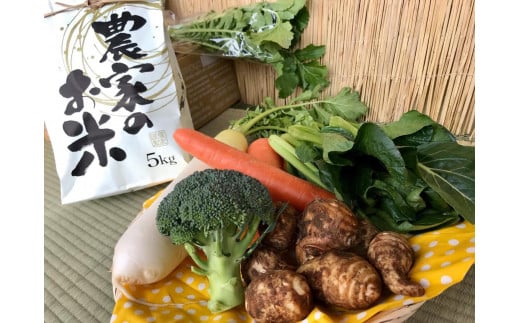 y錧szy͔|Ԕ_sgpz(5kg)Ɩ؃Zbg y ͂ ₳ Zbg O _ziKBE-22j