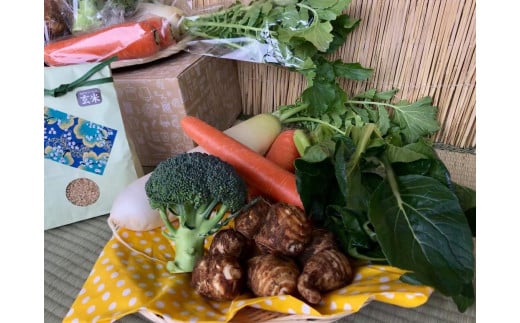 【栽培期間無農薬＆減農薬】お米5kgと野菜セット 【おいしい ごはん やさい セット グルメ 無農薬 減農薬】（KBE-22）