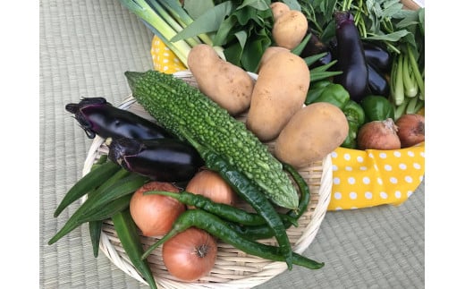 【茨城県鹿嶋市】【栽培期間農薬不使用】季節の野菜ハーフセット KBE-113