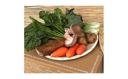 【栽培期間無農薬＆減農薬】季節の野菜ハーフセット12ヶ月定期便　（KBE-25）