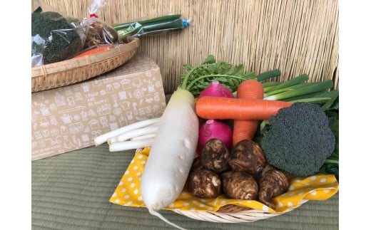 【栽培期間無農薬＆減農薬】季節の野菜ハーフセット12ヶ月定期便　（KBE-25）
