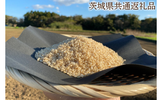 【できるだけ農薬を減らした】R7年産 マキタ超こしひかり 玄米10kg【茨城県共通返礼品・行方市産】【おいしい お米 マキタ 減農薬 安心 げんまい  鹿嶋市】（KBE-79）