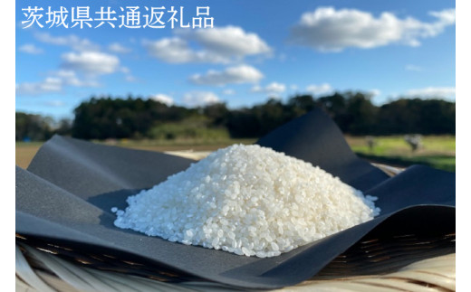 【栽培期間農薬不使用】R7年産 マキタ超こしひかり 白米5kg【茨城県共通返礼品・行方市産】【おいしい お米 マキタ 減農薬 安心  鹿嶋市】（KBE-99）
