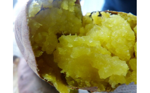 【先行予約】【令和8年12月発送】焼き芋好きのためのさつま芋　紅はるか5kg【茨城県共通返礼品・行方市産】（KBE-58）