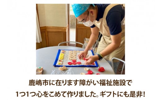 世界に一つだけの布カレンダー（知育教材）（KCQ-4）