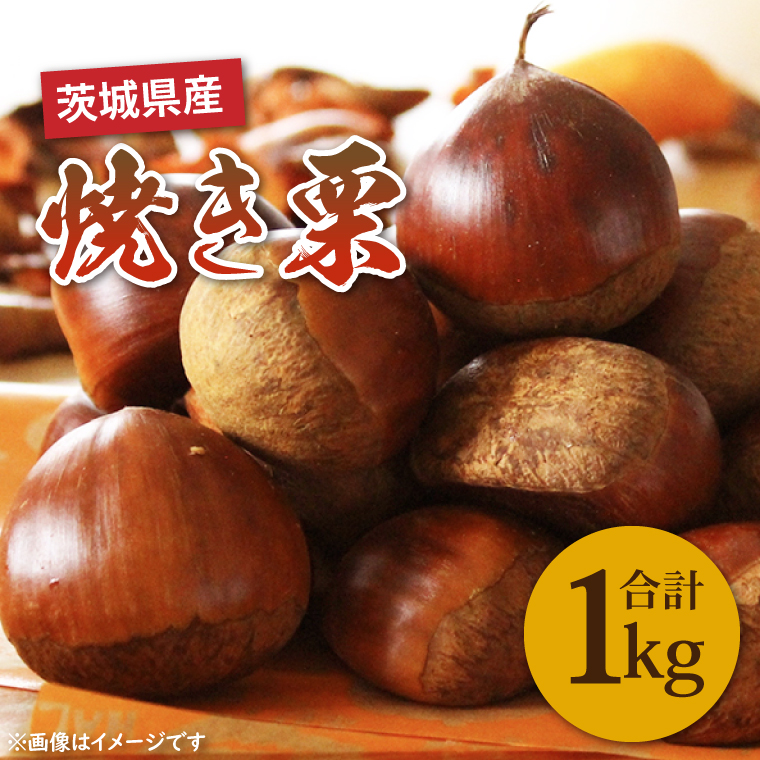 【先行予約】【10月上旬より発送】焼き栗（茨城県産）【栗 くり マロン 焼き栗 低温熟成 茨城県 15000円以内 】（KCM-26）
